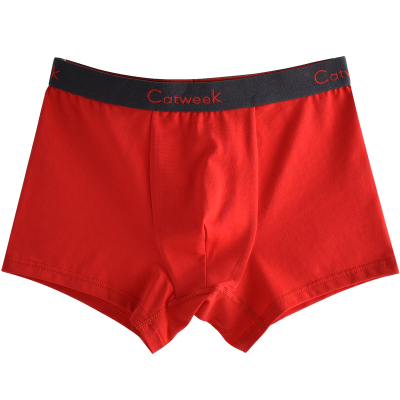 catweek本命年儿童内裤100%棉裆