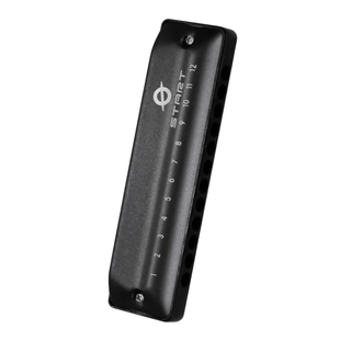 FEIFAN飞繁12孔布鲁斯口琴全音阶低音带FaLa初学者成人专业演奏琴