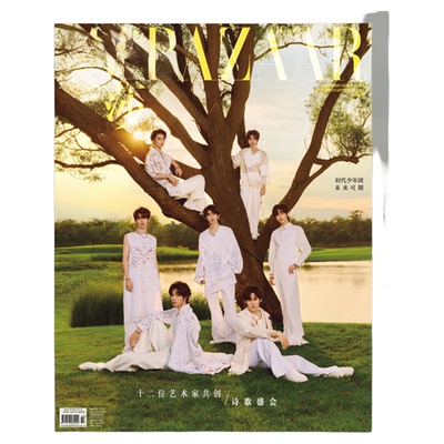 时尚芭莎杂志2024年11期 封面 时代少年团 杂志+Mini PhotoBook周边套装(内页每张可裁剪下来单独成小卡收藏) 期刊杂志