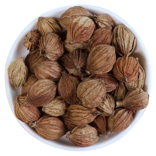 香砂仁500g四川川砂仁卤肉炖肉沙仁烧菜卤肉火锅香料调料大全磨粉