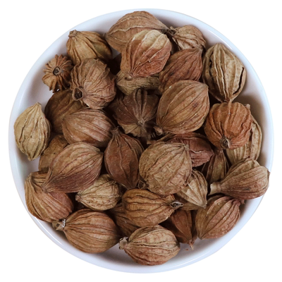 香砂仁卤菜炖汤火锅去腥调料大全