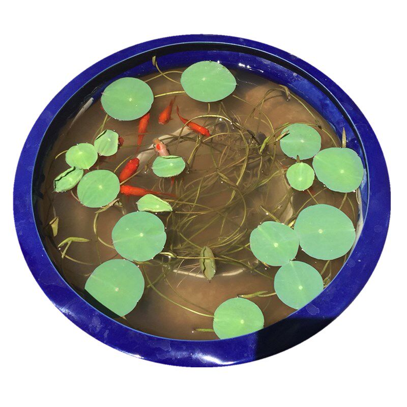 荷塘泥碗莲睡莲专用土塘泥荷花淤泥水生花卉专用营养泥营养土包邮