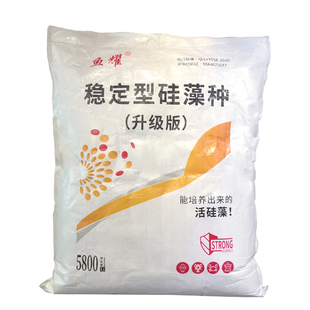 复合藻种硅藻种水产养殖专用绿藻藻种调水肥水培藻稳定型小球藻种