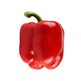 荷兰甜椒种子红圆椒灯笼椒方椒太空椒方椒籽四季春季蔬菜种孑禾之