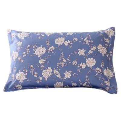 柏籽壳草本枕芯中药枕