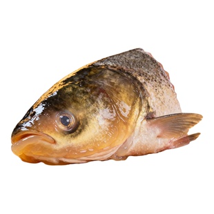 千岛湖鳙鱼头3-10斤活水现捕低温生冻农家灶台菜湖鲜宴席年货食材