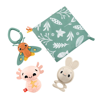 费雪多重感官套装新生儿玩具