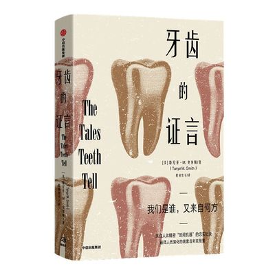 牙齿的证言塔尼亚史密斯中信出版