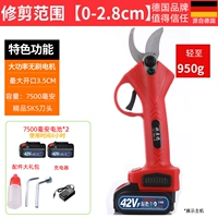 Специальное предложение [2,8 см] Эрдиан [6 часов работы]