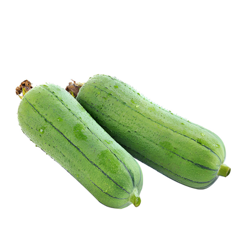 肉丝瓜种子小菜园蔬菜种子