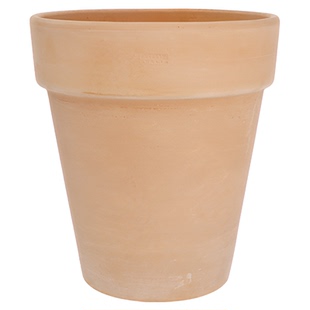 青野【直播间福利款秒杀】deroma宽边高盆白陶22cm纹理不清晰