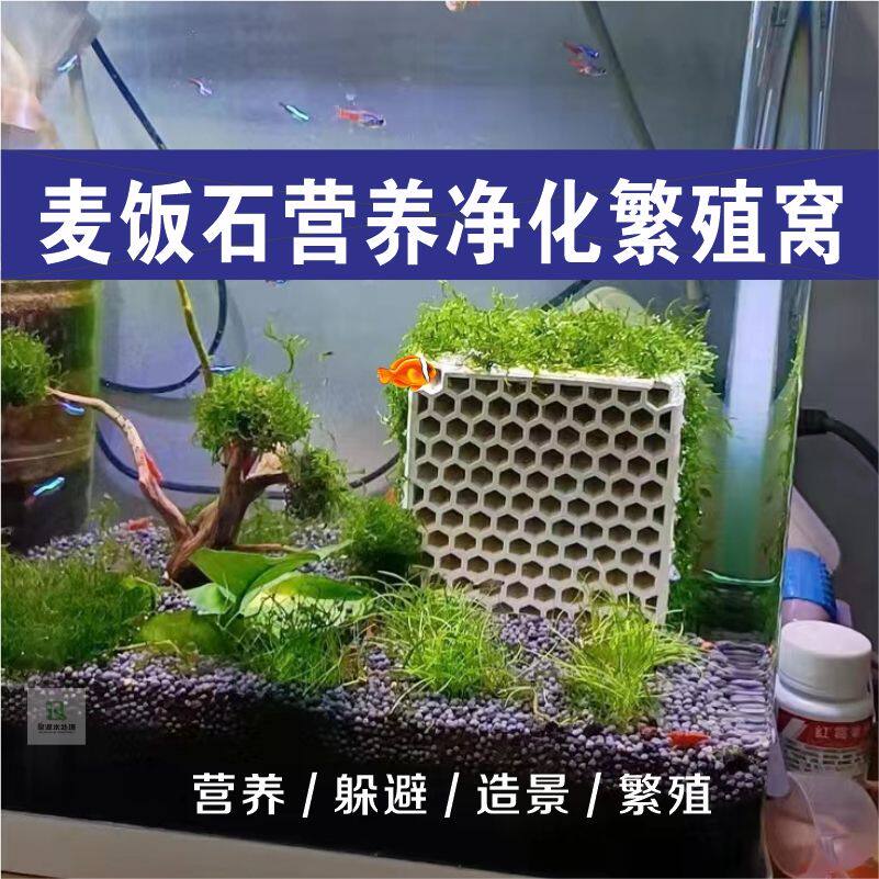 天然陶瓷蜂窝砖苏虾小屋水晶虾躲避砖幼虾级火虾繁殖虾窝加麦饭石