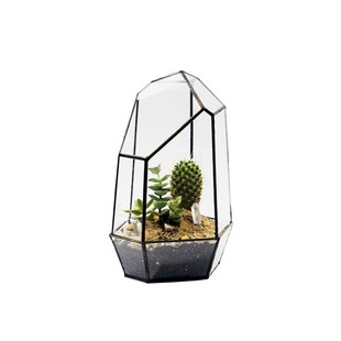 简约永生花多肉植物玻璃花房罩微景观花器创意花盆容器装饰摆件