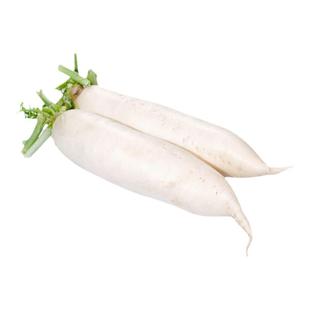 山东燎原新鲜大白萝卜4斤绿色蔬菜现挖脆嫩可腌泡菜当季包邮