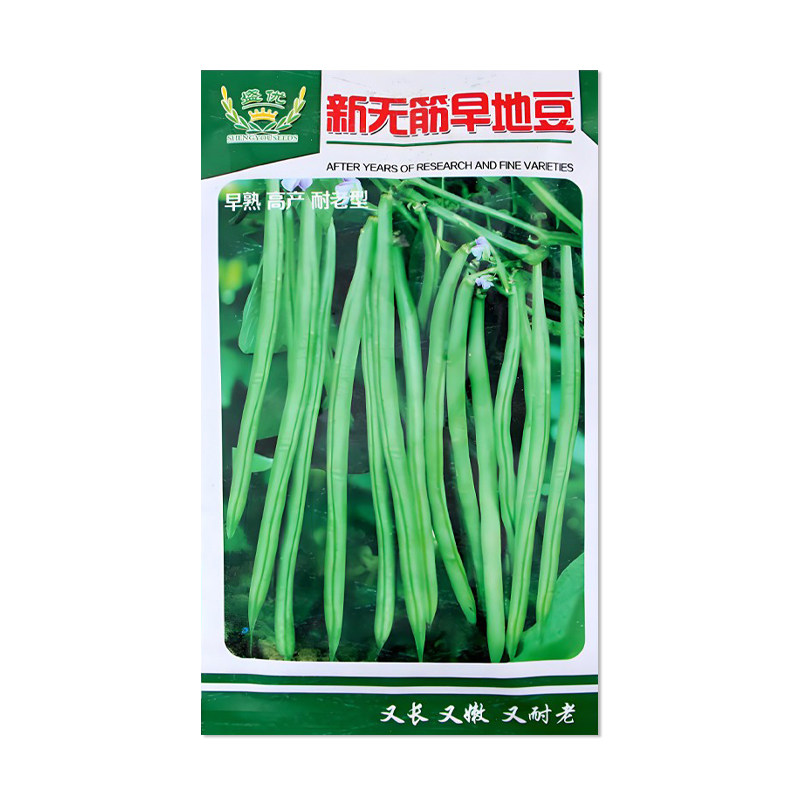 盛优无筋早地豆种子无架四季豆