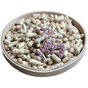 仙丽来正宗龙岩湿烤花生农家红衣紫衣花生福建盐水煮花生闽西特产