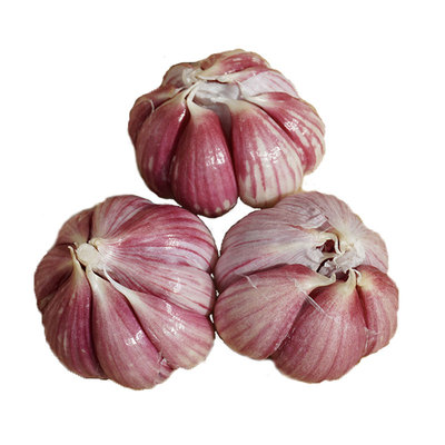 云南紫皮蒜紫皮大蒜2025新鲜大蒜