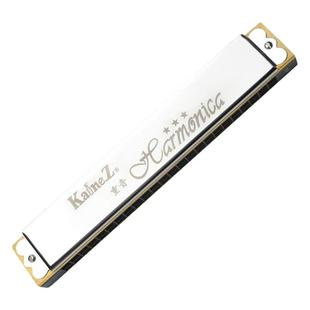 礼物乐器口琴日本SUZUKI铃木24孔复音C调WINNER-24孔专业初学口琴