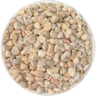 黄色砾石天然鹅卵石庭院造景水磨石地面专用石子颗粒洗米石胶粘石