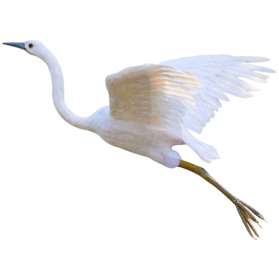 仿真白鹭牛背鹭模型湿地主题装饰