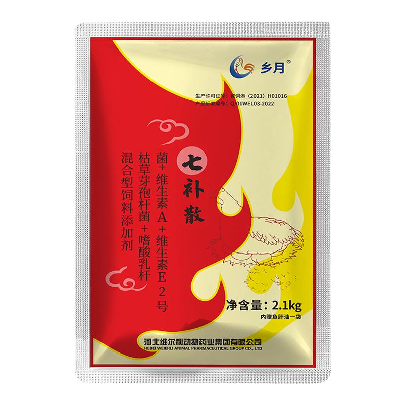 蛋鸡狂下蛋增蛋散家禽产蛋多又好
