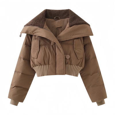 晶煊韩国高级感短款大翻领棉袄女