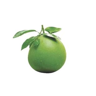 顺丰包邮新鲜去味小柚子柚子皮 新房新车新柜去味摆设供神做小菜