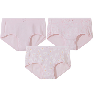 3条装舒雅女士纯棉内裤25年秋新款粉红柔软亲肤透气平角裤25635T