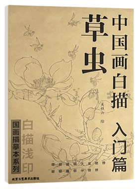 中国画白描入门篇草虫