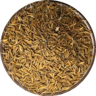 食用蒲公英种子野菜种籽孑婆婆丁根茶易活播种阳台盆栽蔬菜