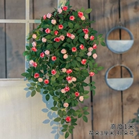 Настенная подвеска 