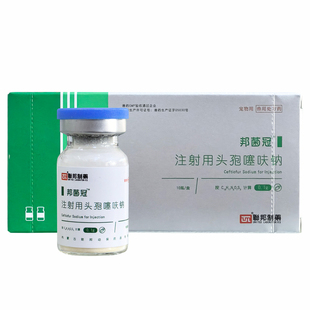 齐鲁替奥福头孢噻呋钠犬猫宠物消炎抗菌尿路细菌感染肺炎鼻支肺炎