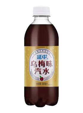上海延中乌梅汁380ml*12瓶夏盐汽水降温解暑碳酸汽水饮料整箱包邮