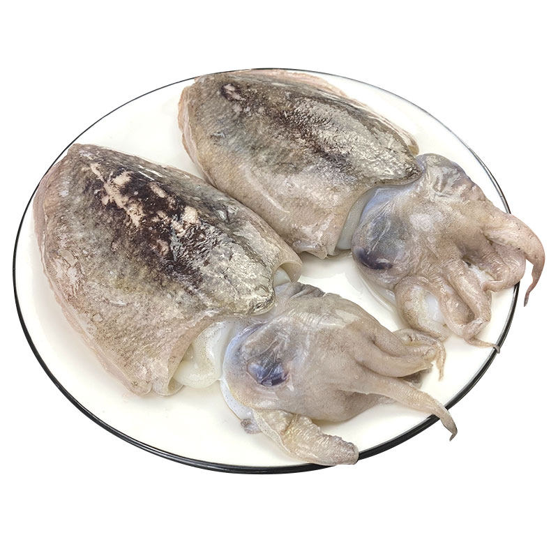 3斤舟山东海野生墨鱼鲜活海鲜