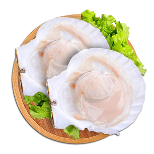 獐子岛活发野生特大号夏威夷贝大扇贝烧烤蒜蓉粉丝夏怡贝海鲜顺丰