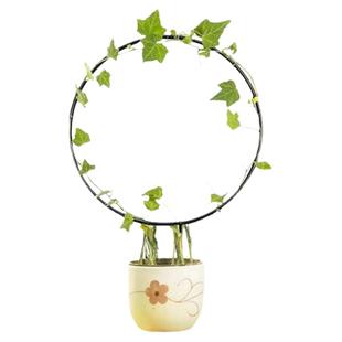 山乌龟爬藤架龟甲龙植物架固定花架爱心圆形造型架创意铁艺支架