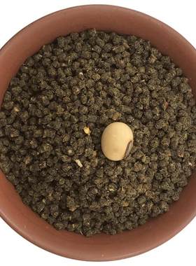西蜀堂手工鸟食提性壮膘营养饲料