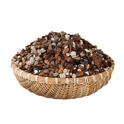 蝴蝶兰专用土水苔长绒青苔藓透气