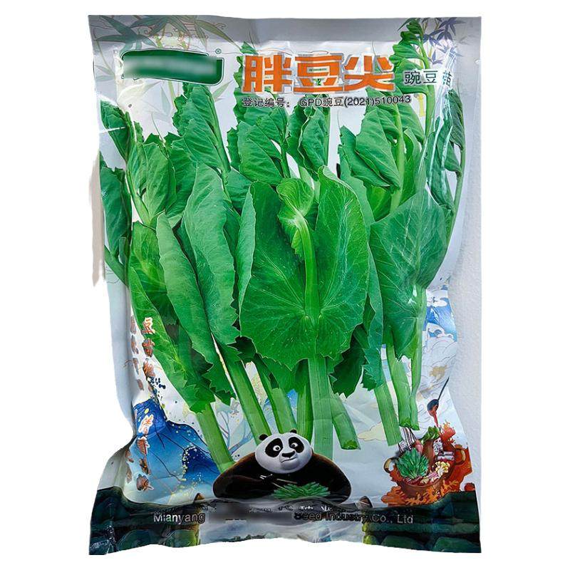 胖豆尖500g豌豆尖蔬菜种子孑籽少须粗大胖芽苗菜龙须豌豆苗龙须