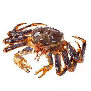 生冻俄罗斯帝王蟹冰鲜阿拉斯加长脚蟹活冻帝皇蟹年货送礼礼品礼盒