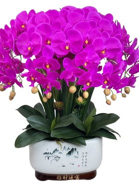 高档仿真花蝴蝶兰花客厅办公室高颜值新款假花装饰插花瓶摆件绿植