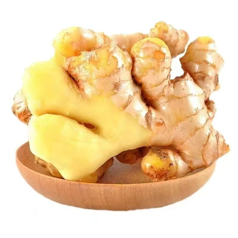 现挖农家小黄姜辛辣味足家用生姜带泥老姜整箱批发新鲜正宗食用