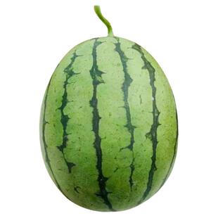 全美2k4k早熟薄皮超甜2K西瓜种子种籽孑甘美秧苗四季孑小型苗秧