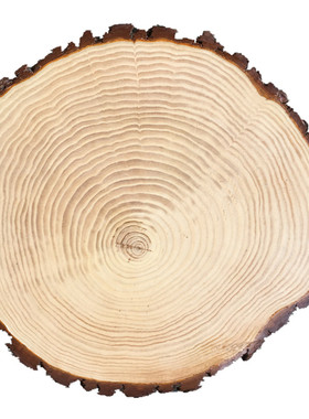 黄义原生态树木片装潢DIY手工