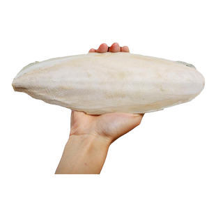 海螵蛸中药材500g官方旗舰店乌贼骨粉大块乌龟药用墨鱼骨1斤大块