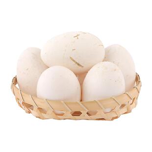 顺丰包邮农家散养双黄土鹅蛋超大8枚新鲜孕妇特大鹅蛋190-250克