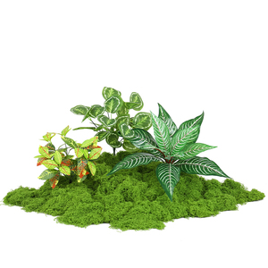 仿真绿植苔藓植物造景组合摆设