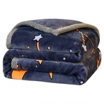 加厚珊瑚绒牛奶绒法兰绒毯毛毯子冬季加绒床单单人学生宿舍毛绒毯