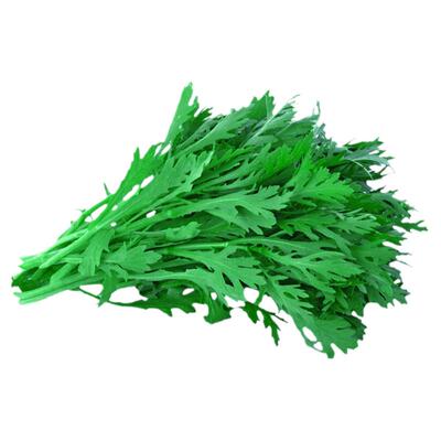 晓富中叶茼蒿种籽蔬菜青皇帝菜春