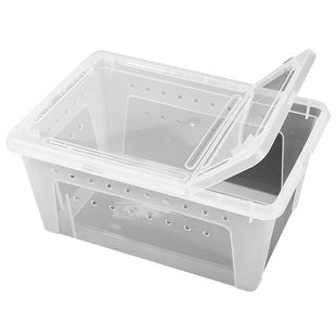 爬宠饲养盒角蛙爬虫蛇蜘蛛爬宠蜥蜴乌龟冬眠箱寄居蟹昆虫盒子龟缸